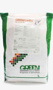 Green Has plant 4