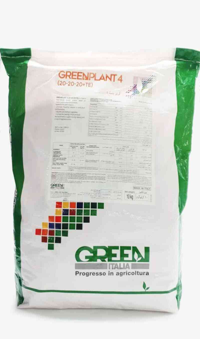 Green Has plant 4